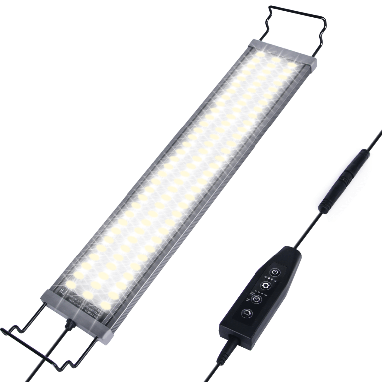 665260164-leds