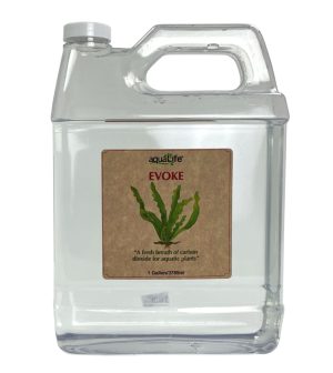 Evoke 1 Gallon 3785 ml