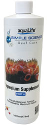 Simple Science Magnesium Part A 16 oz