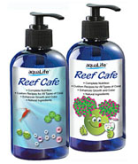 Reef Cafe 12 oz Bottle with Pump