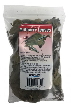 aquaLife Mulberry Leaves Approx. wt. 15 grams