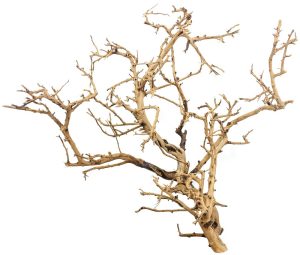 Tiny Ramous Wood 14-18" - Driftwood Branches
