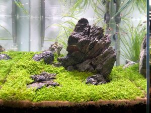 Aeration