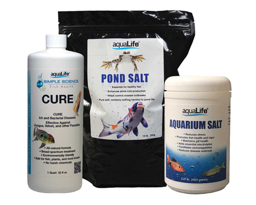 Medications & Fish Health