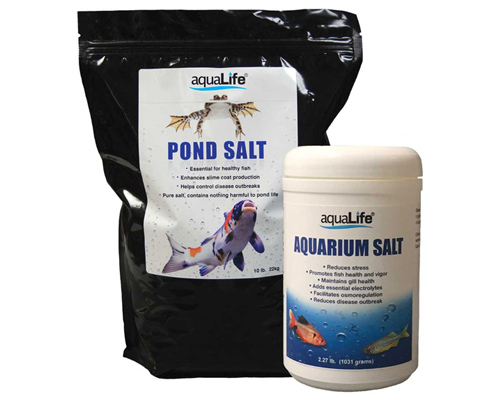 Salt