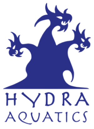 hydra_logo-removebg-preview-1
