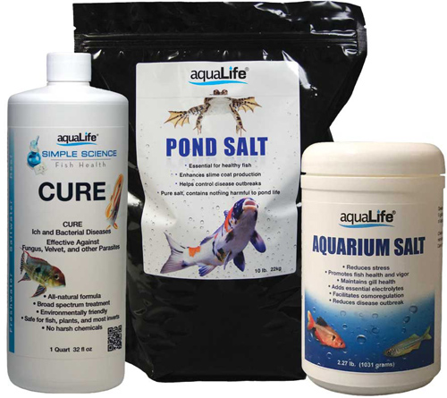 Medications & Fish Health