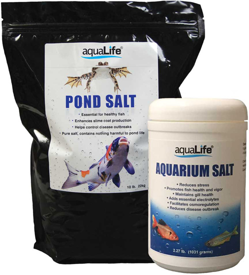 Salt